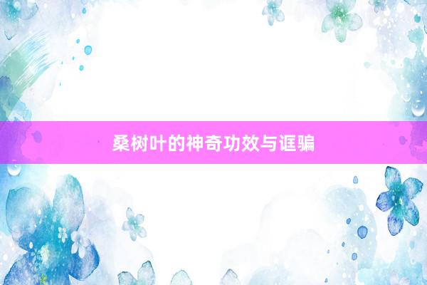 桑树叶的神奇功效与诓骗