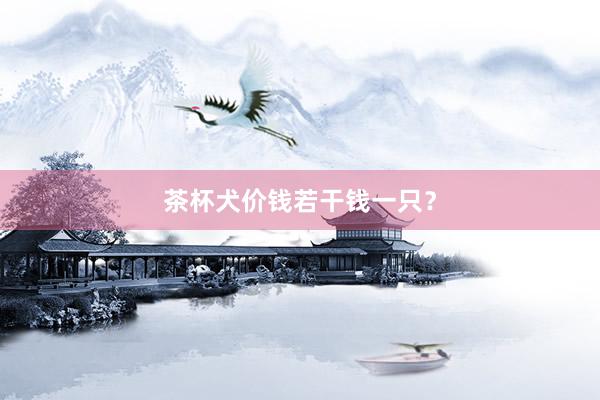 茶杯犬价钱若干钱一只？